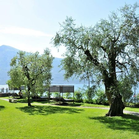 티날레 Torre Degli Ulivi B&B 외부 사진